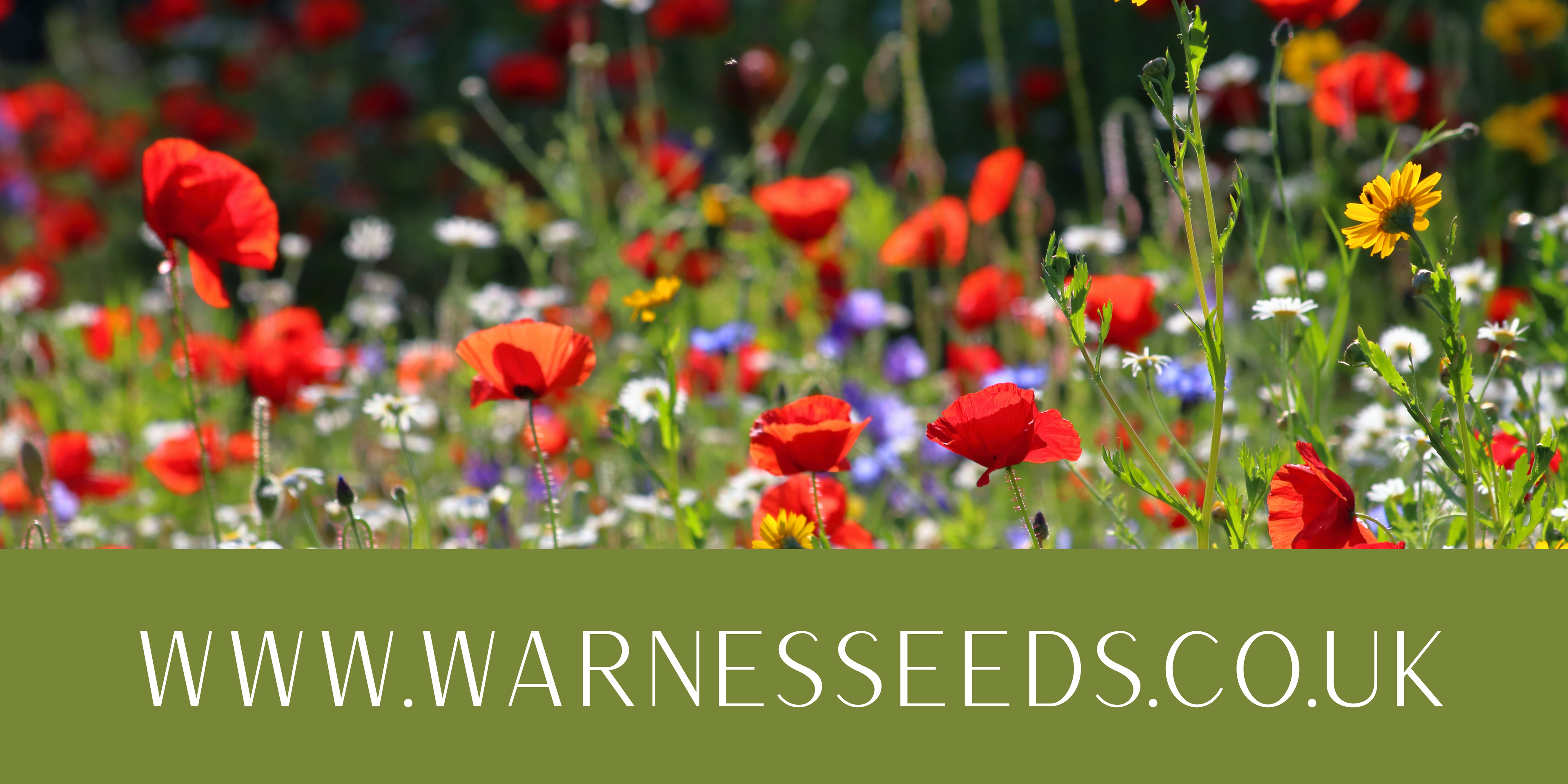 Warne's Seeds Online Store is Officially Open!