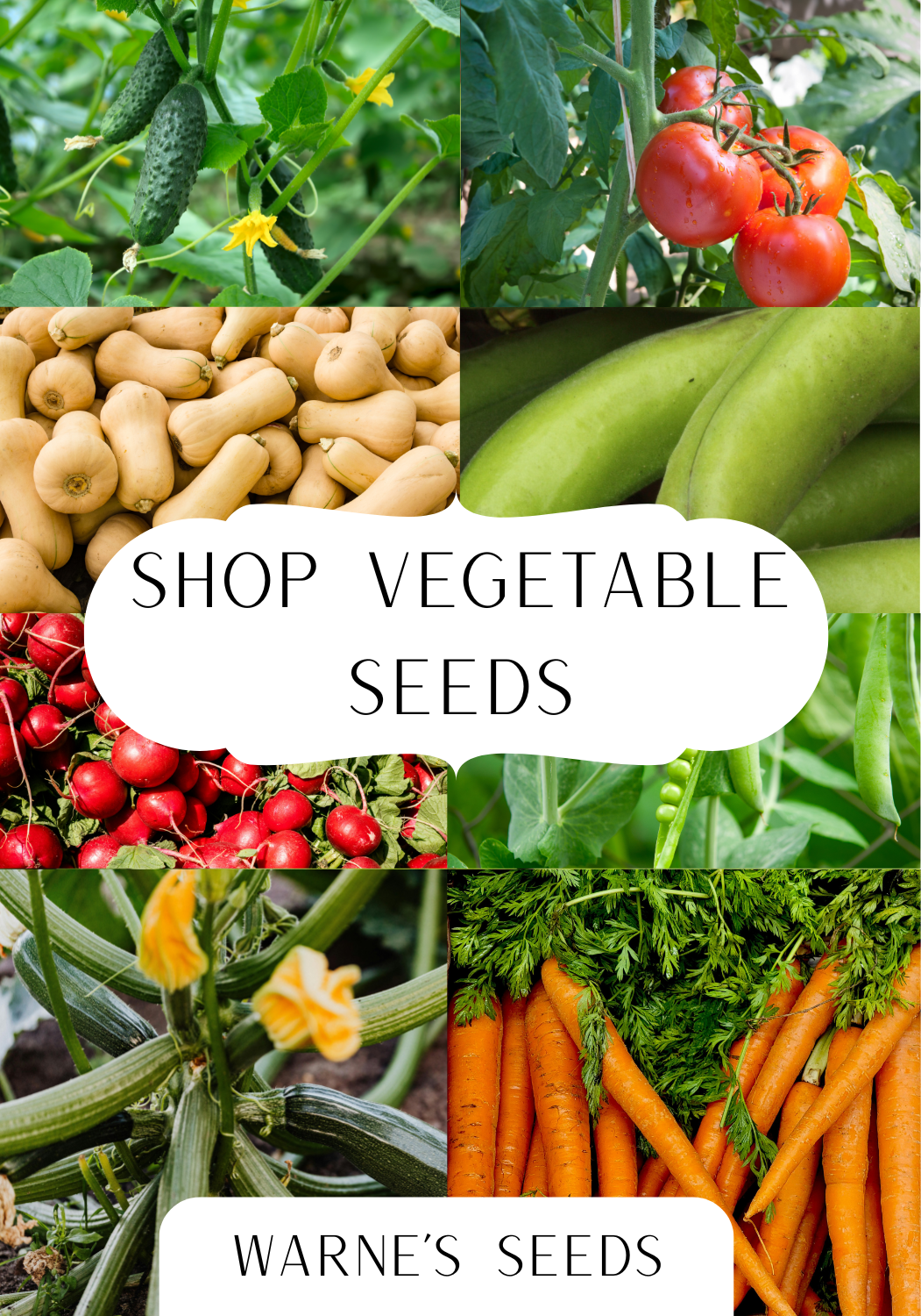 Vegetable seeds