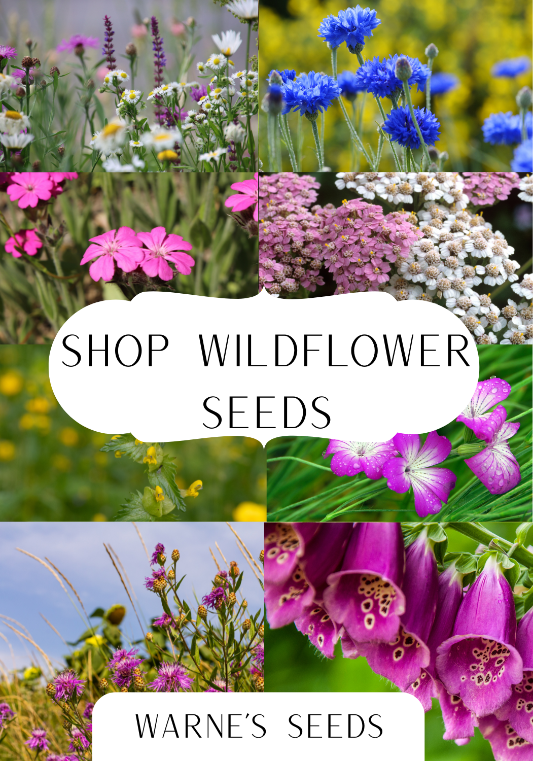 Wildflower seeds