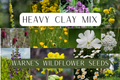 Heavy clay wildflower seed mix