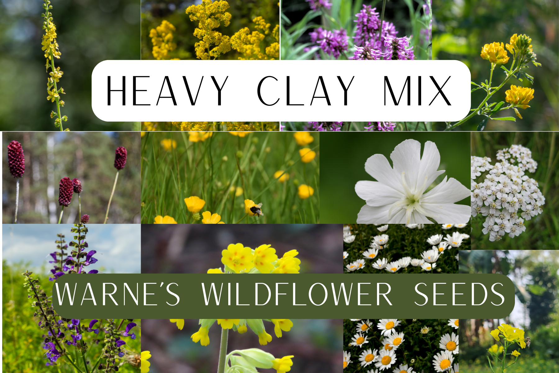 Heavy clay wildflower seed mix