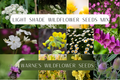 Light shade wildflower seed mix