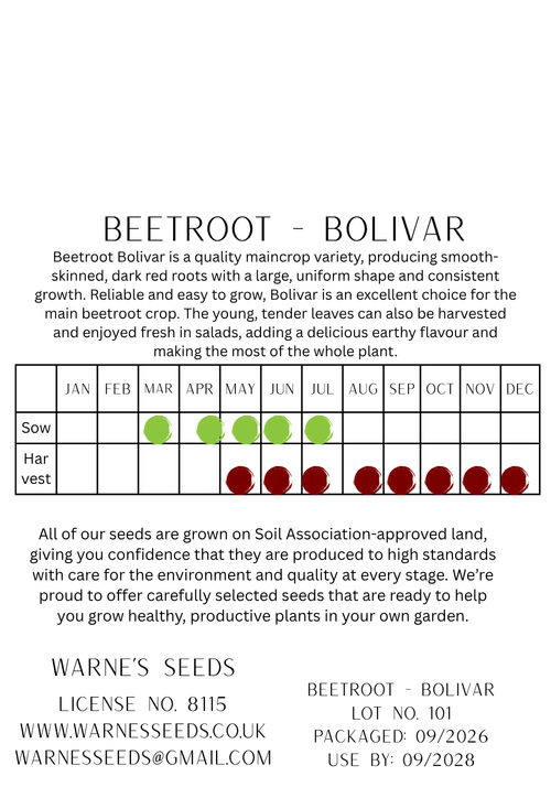 Beetroot - Bolivar seeds