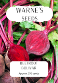 Beetroot - Bolivar seeds