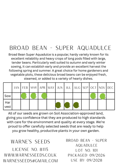Broad Bean - Super Aquadulce seeds