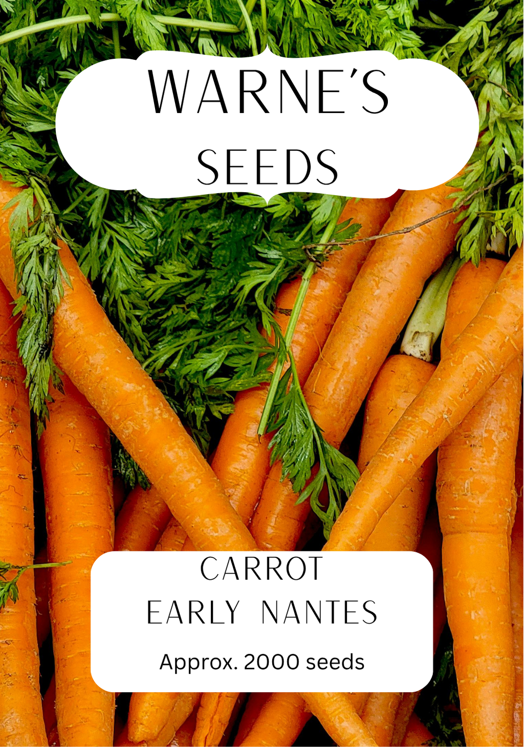 Carrot - Early Nantes seeds