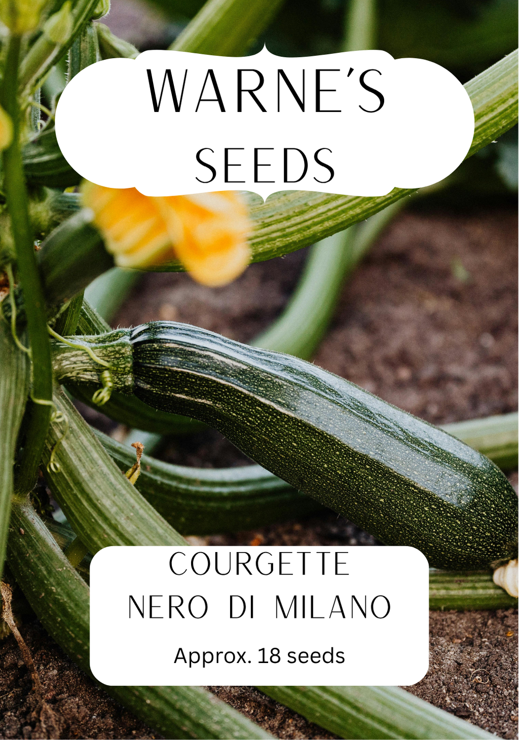 Courgette - Nero Di Milano seeds