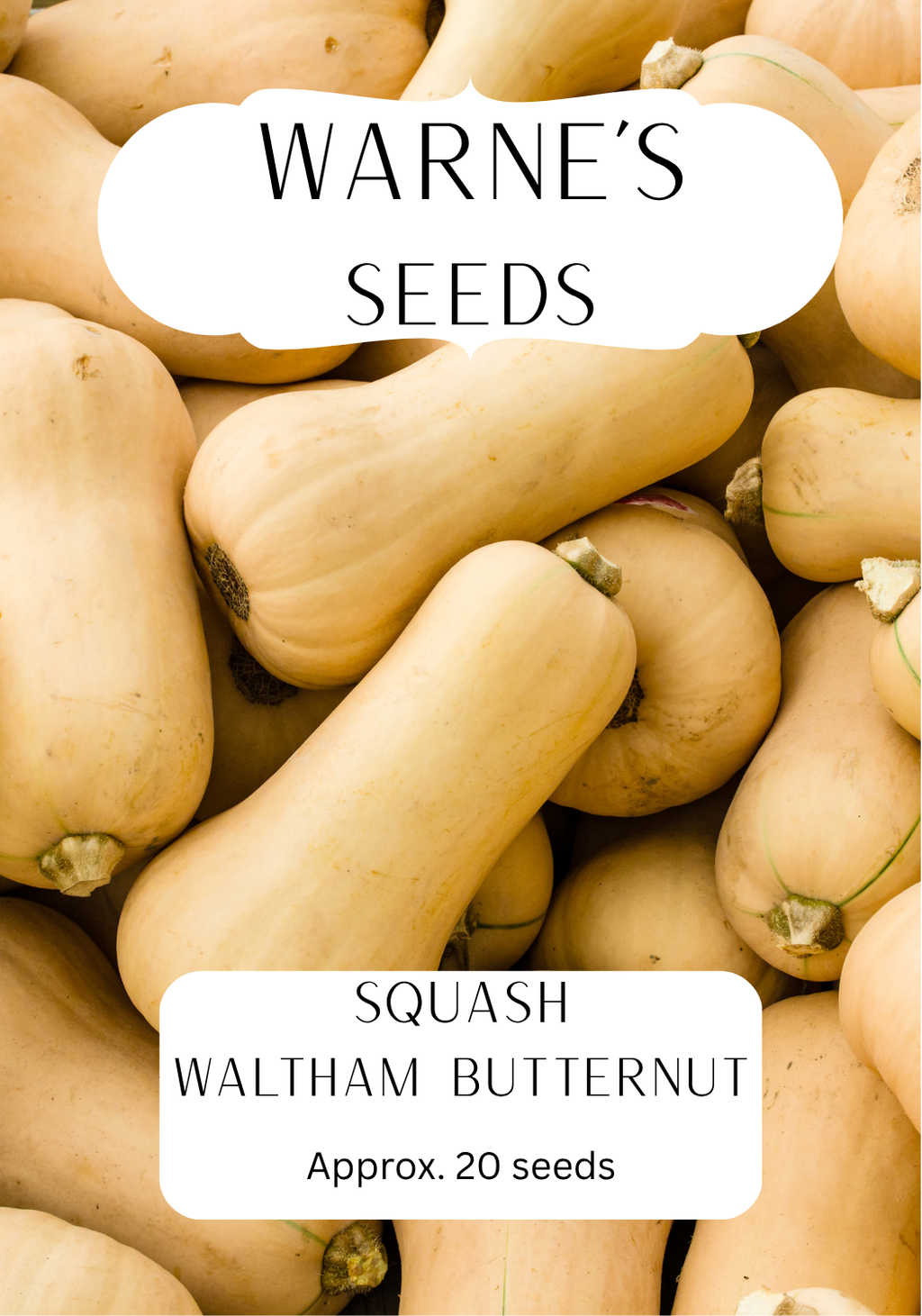 Squash - Waltham Butternut seeds