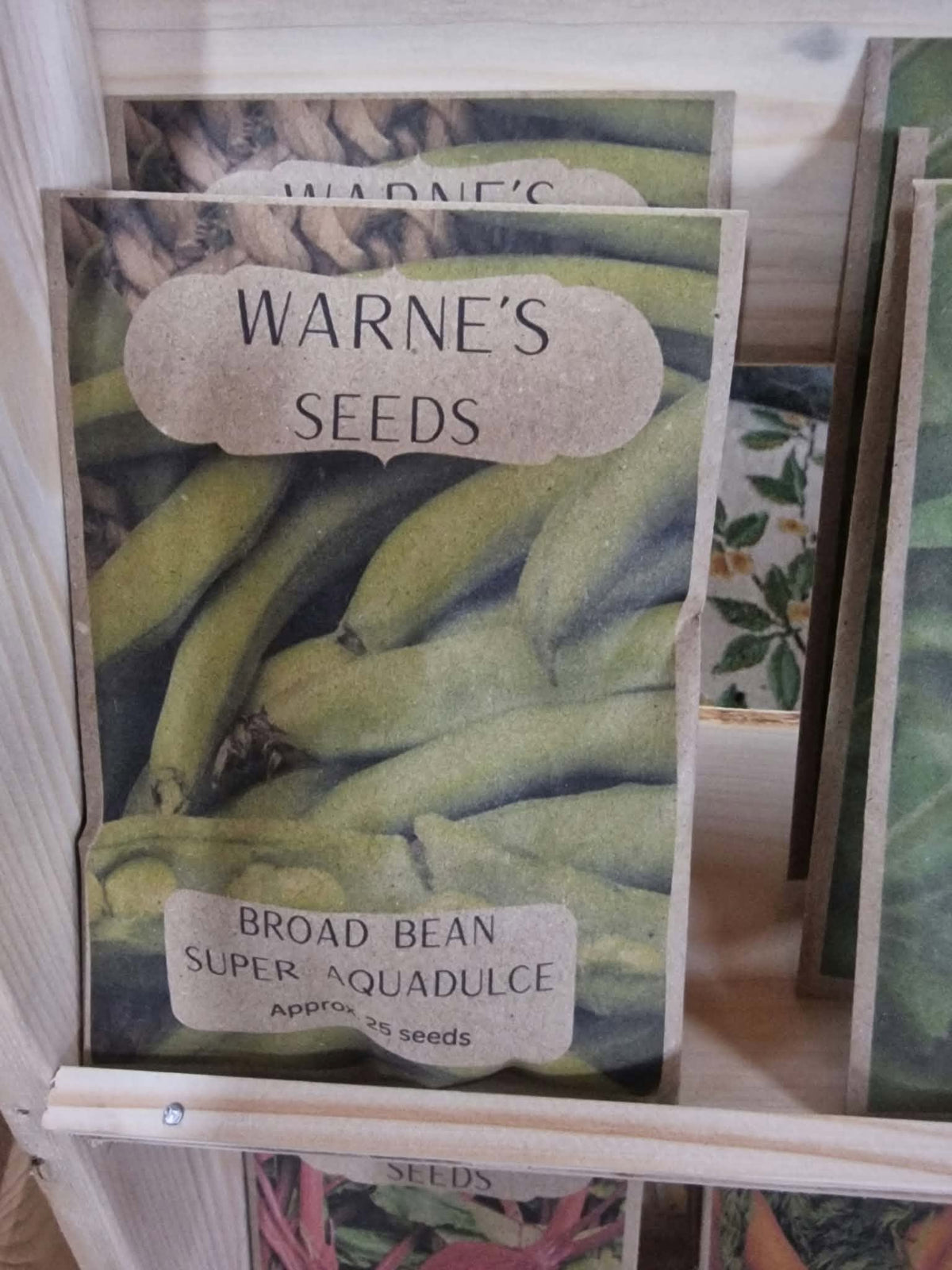 Broad Bean - Super Aquadulce seeds