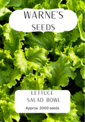 Lettuce - Salad Bowl seeds