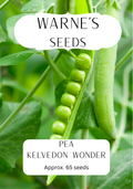 Pea - Kelvedon Wonder seeds