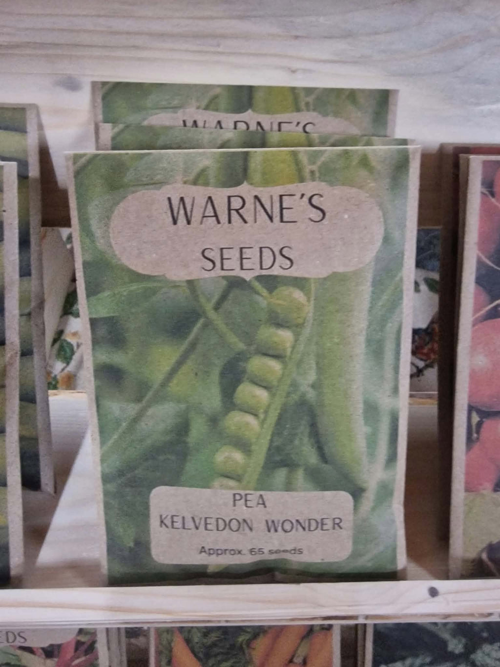 Pea - Kelvedon Wonder seeds