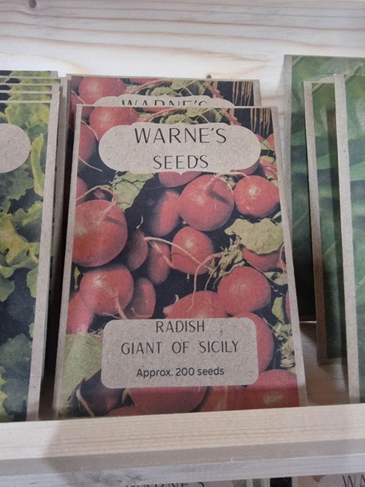 Radish - Giant Of Sicily seeds